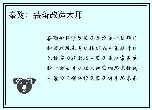 秦殇：装备改造大师